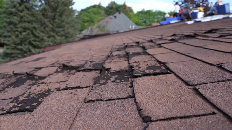 Best Solar Panel Roofing Installation  in Caldwell, ID
