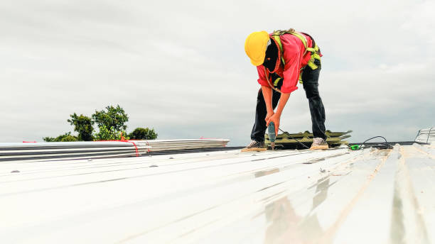 Best Roof Insulation Installation  in Caldwell, ID